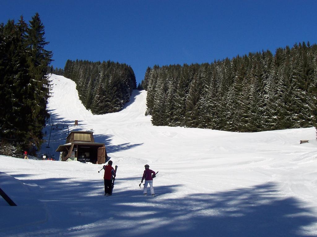 Edelweiss Lägenhet Schulenberg im Oberharz Exteriör bild